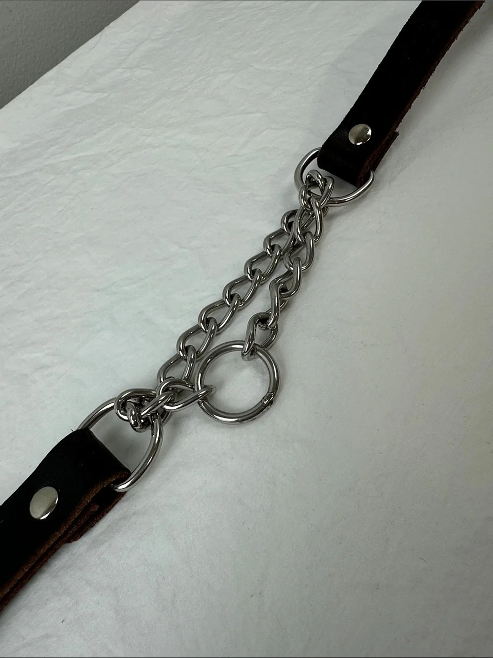 NWOT Mighty Paw Leather Martingale Dog Collar, Medium